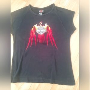 Top Harvey davidson women